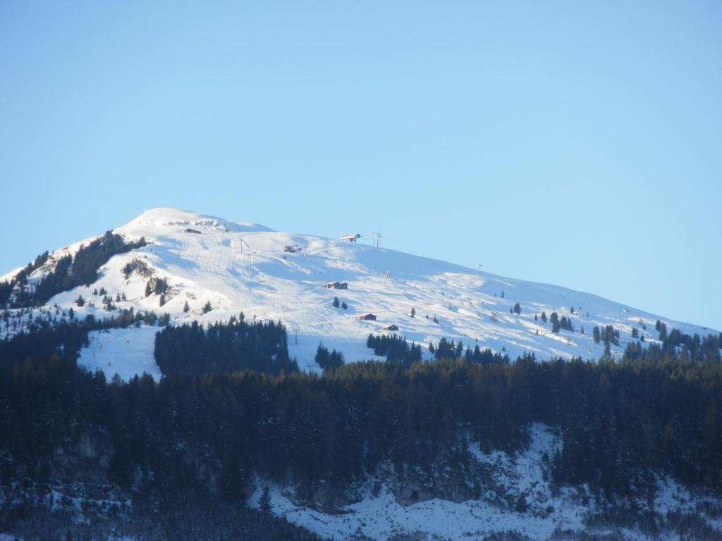 Apartment Kerer Wald im Pinzgau Dış mekan fotoğraf